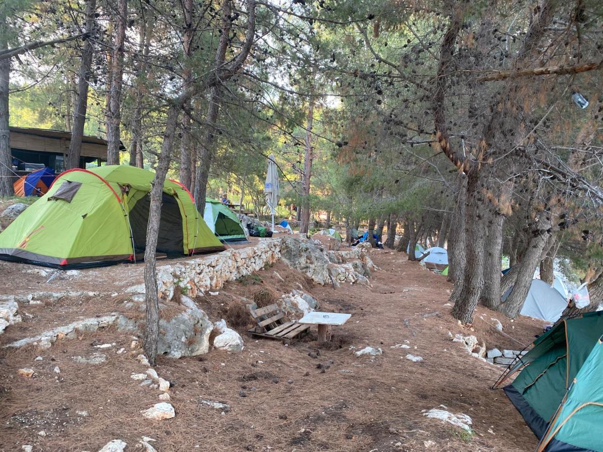 Pine Side Camp Himare Exterior foto