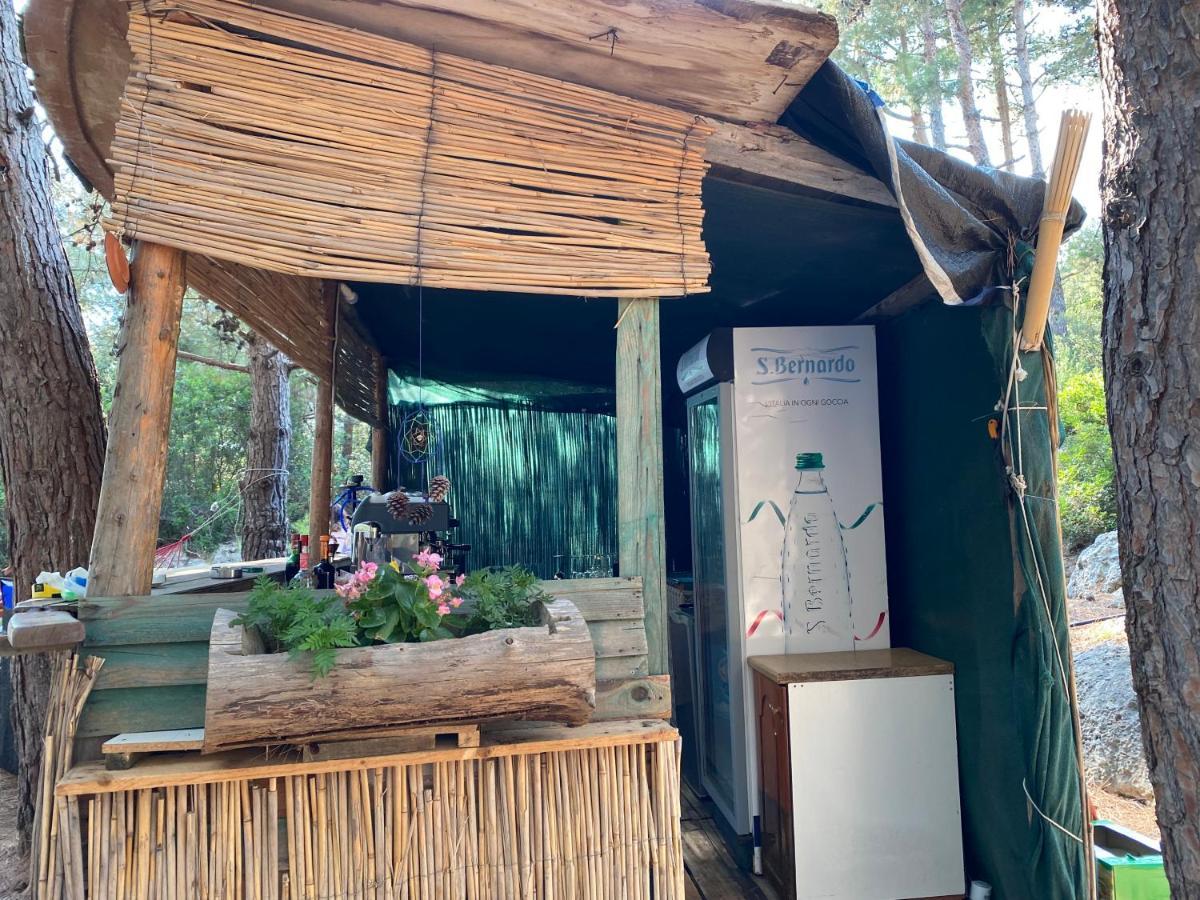 Pine Side Camp Himare Exterior foto